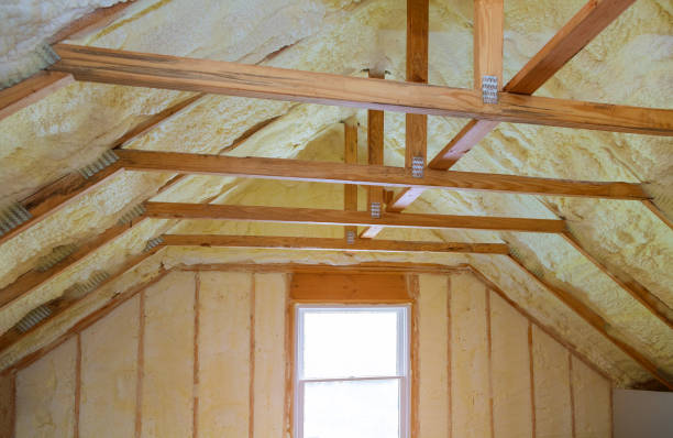 Best Residential Insulation in Stanley, VA