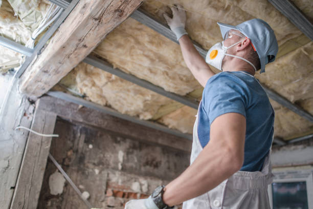 Best Fiberglass Insulation in Stanley, VA