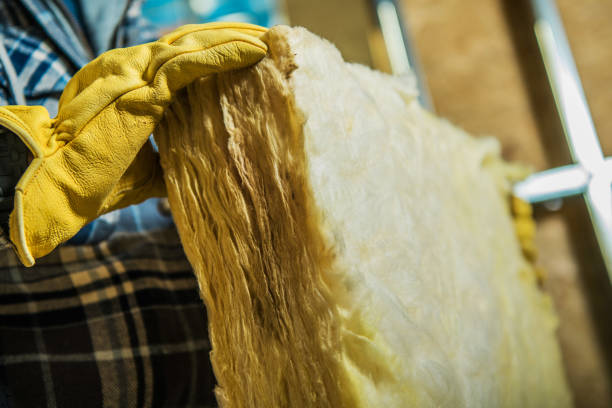 Best DIY Insulation Kits and Guidance in Stanley, VA