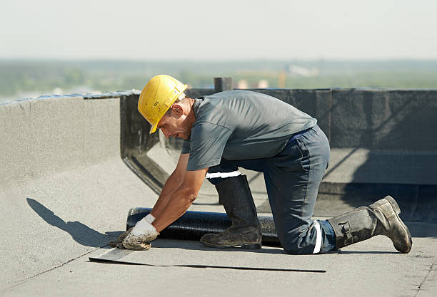 Best Commercial Insulation in Stanley, VA