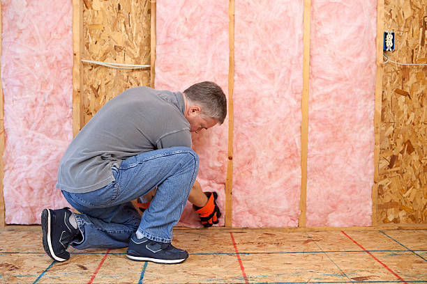 Types of Insulation We Offer in Stanley, VA