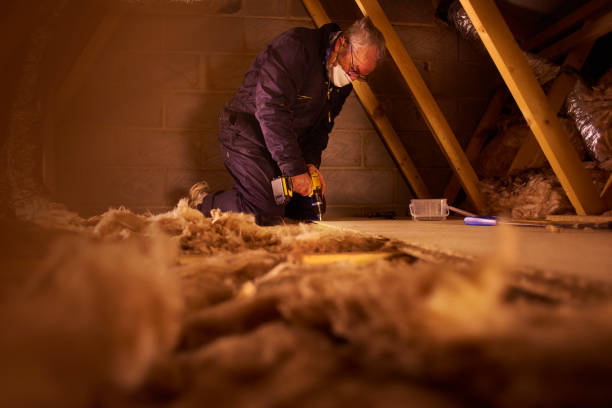 Types of Insulation We Offer in Stanley, VA